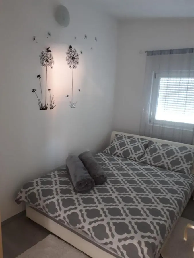 Apartmani Plesa Vir 0*,